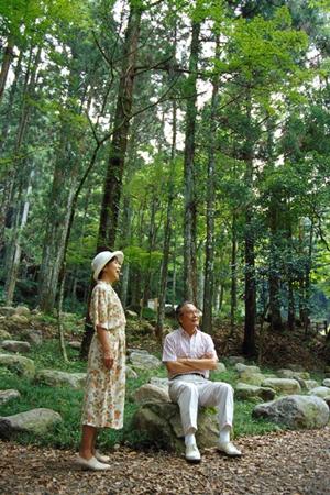 【公式】東横INN浅草蔵前1｜便利なアクセスと快適な宿泊体験を提供するビジネスホテル