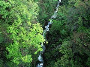 手軽に動物とふれあえる移動動物園
