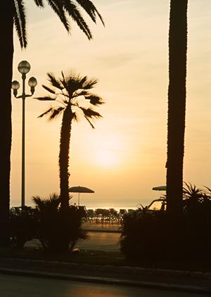 東横INN西武池袋線東久留米駅西口：快適なビジネスと観光に最適な宿泊施設の詳細ガイド