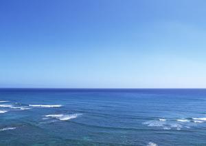東横INN東武宇都宮駅西口：アクセス抜群のビジネスホテルで快適な宿泊体験を提供