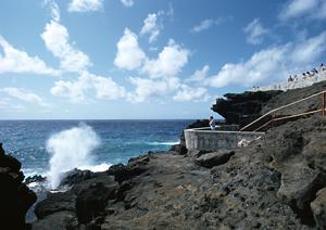 北海道網走市のビジネスホテル：東横INNオホーツク・網走駅前の魅力と特徴