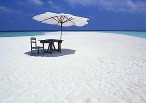 【公式情報を基に完全ガイド】東横INNいわき駅前 ? 福島いわき市のビジネスホテルの魅力と便利な情報