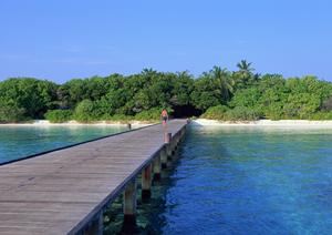 東横INN大森｜東京都大田区の快適なビジネスホテルと便利なアクセス情報
