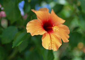 東横INN蒲田1｜東京都大田区にあるコストパフォーマンス抜群のビジネスホテルの魅力と詳細情報