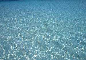 東横INN東大阪：便利な立地と快適なサービスが魅力のビジネスホテル