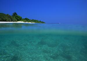 静岡市中心部の快適な滞在を実現！ガーデンホテル静岡の魅力と詳細情報