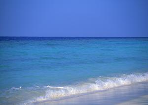 石川県白川や金沢地方でオススメの温泉宿