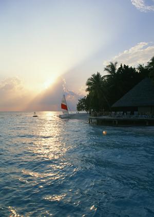 神奈川県横浜市のビジネスと観光に最適な宿泊施設|東横INN新横浜駅前新館の詳細ガイド