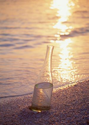 うさぎの魅力がわかるアニマルカフェ