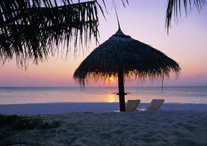 自転車保険に入るメリットを紹介します