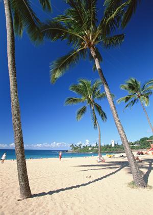 姫路駅すぐそばの快適な宿泊施設！東横INN姫路駅新幹線南口の魅力とポイント