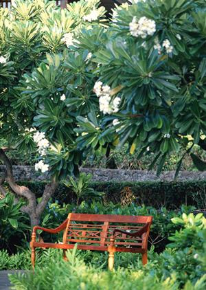 様々な温泉が楽しめる山梨の施設